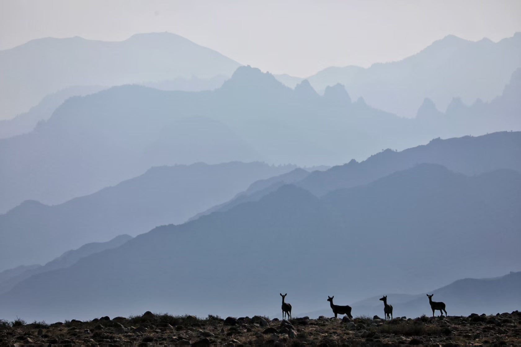 Exploring Ningxia's Wine Region with Jetour and Travel Lovers