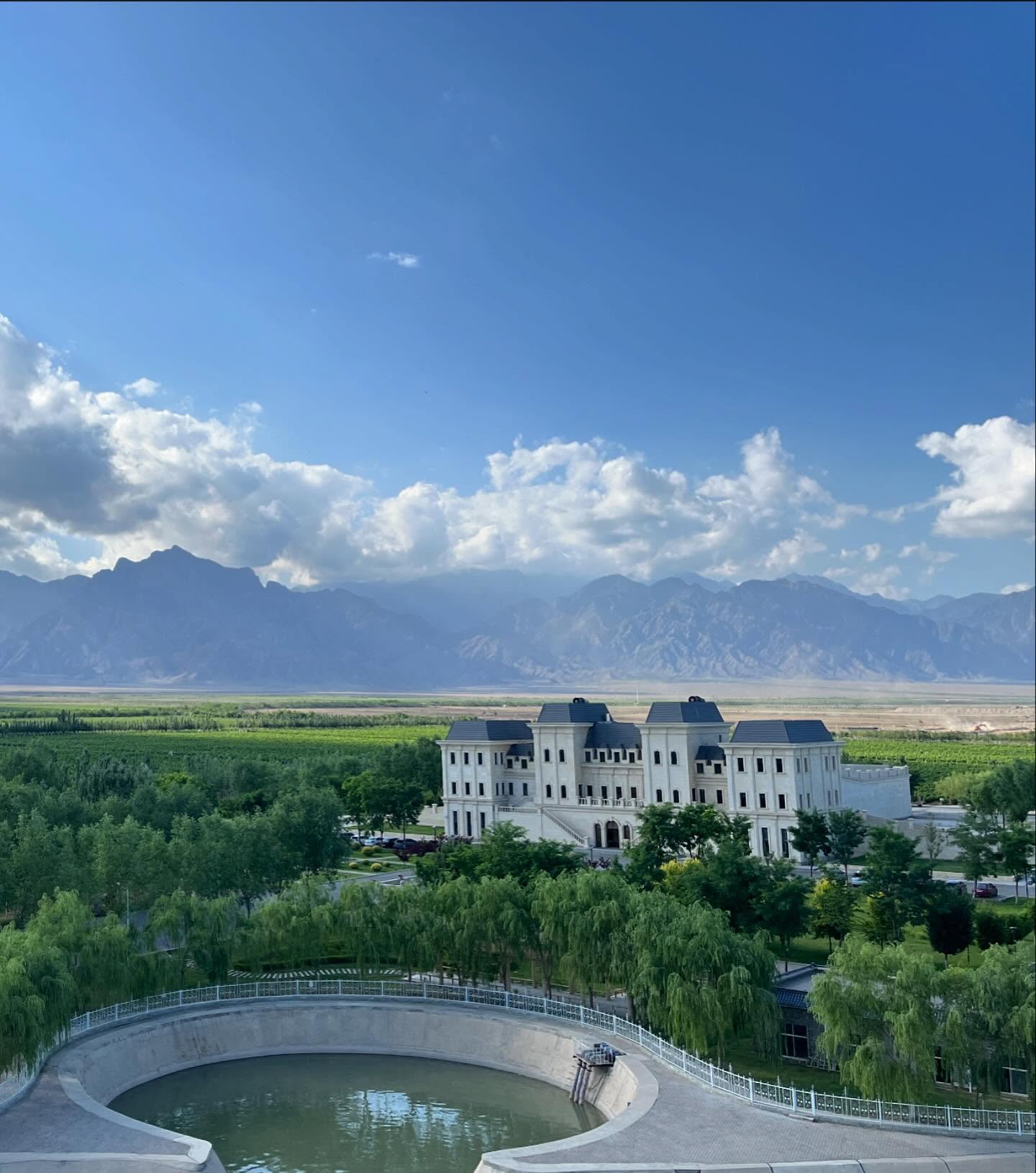 Mihope Sets New Record at the 6th Bettane & Desseauve Wine of China 2025