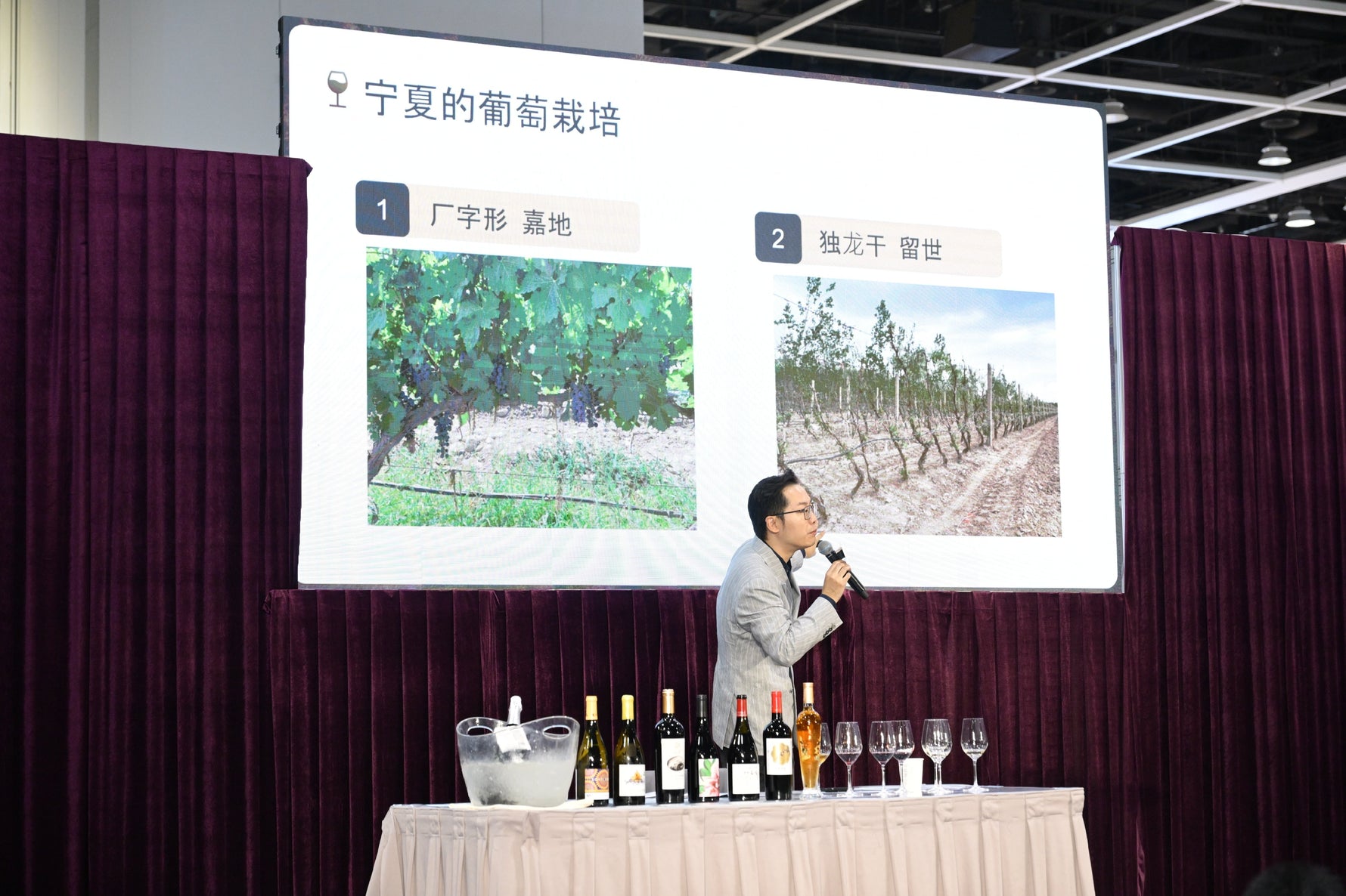 Ningxia Helan Mountain's East Foothill Wine Region Masterclass